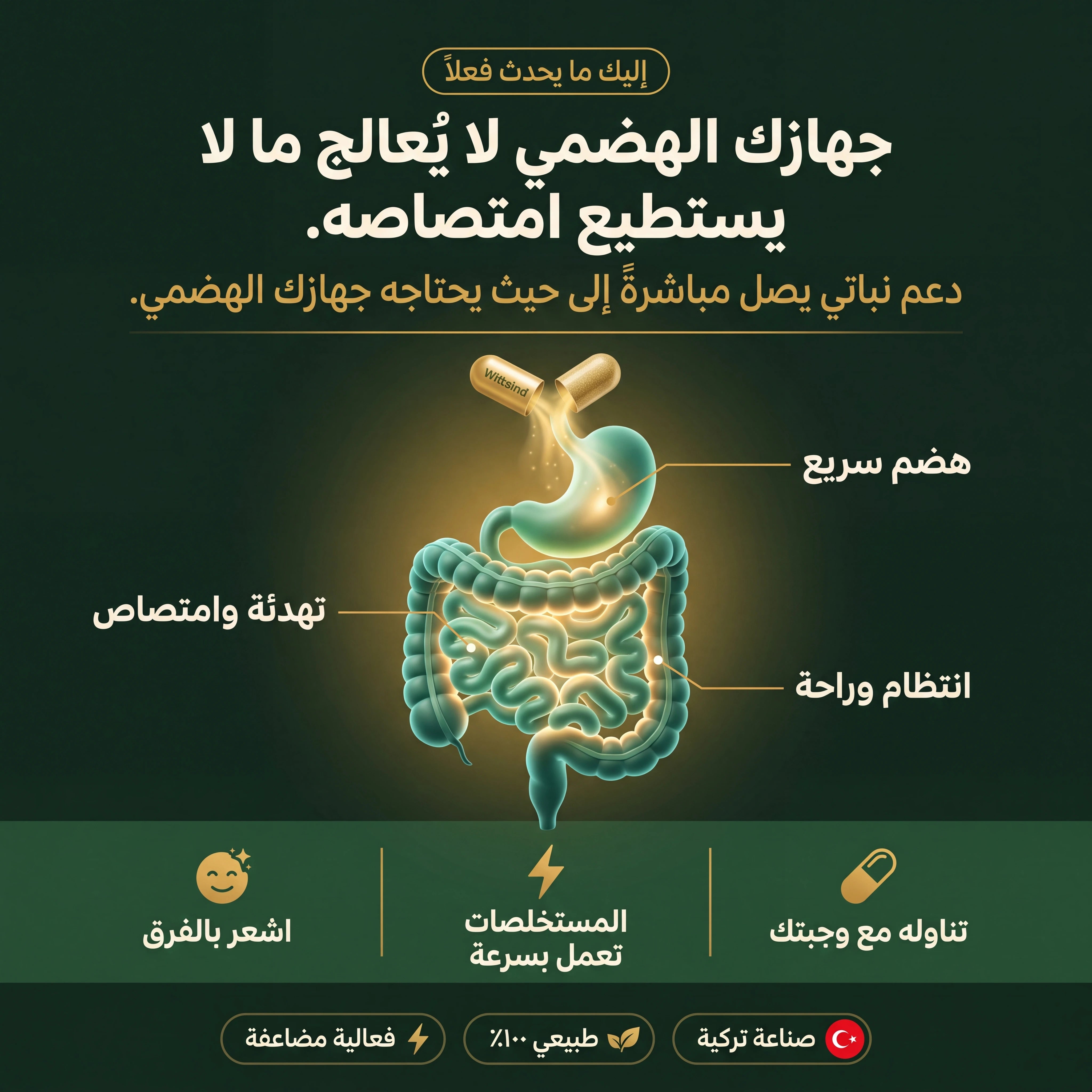 Wittsind – مكمل طبيعي للانتفاخ والامساك ومشاكل الهضم | 60 كبسولة