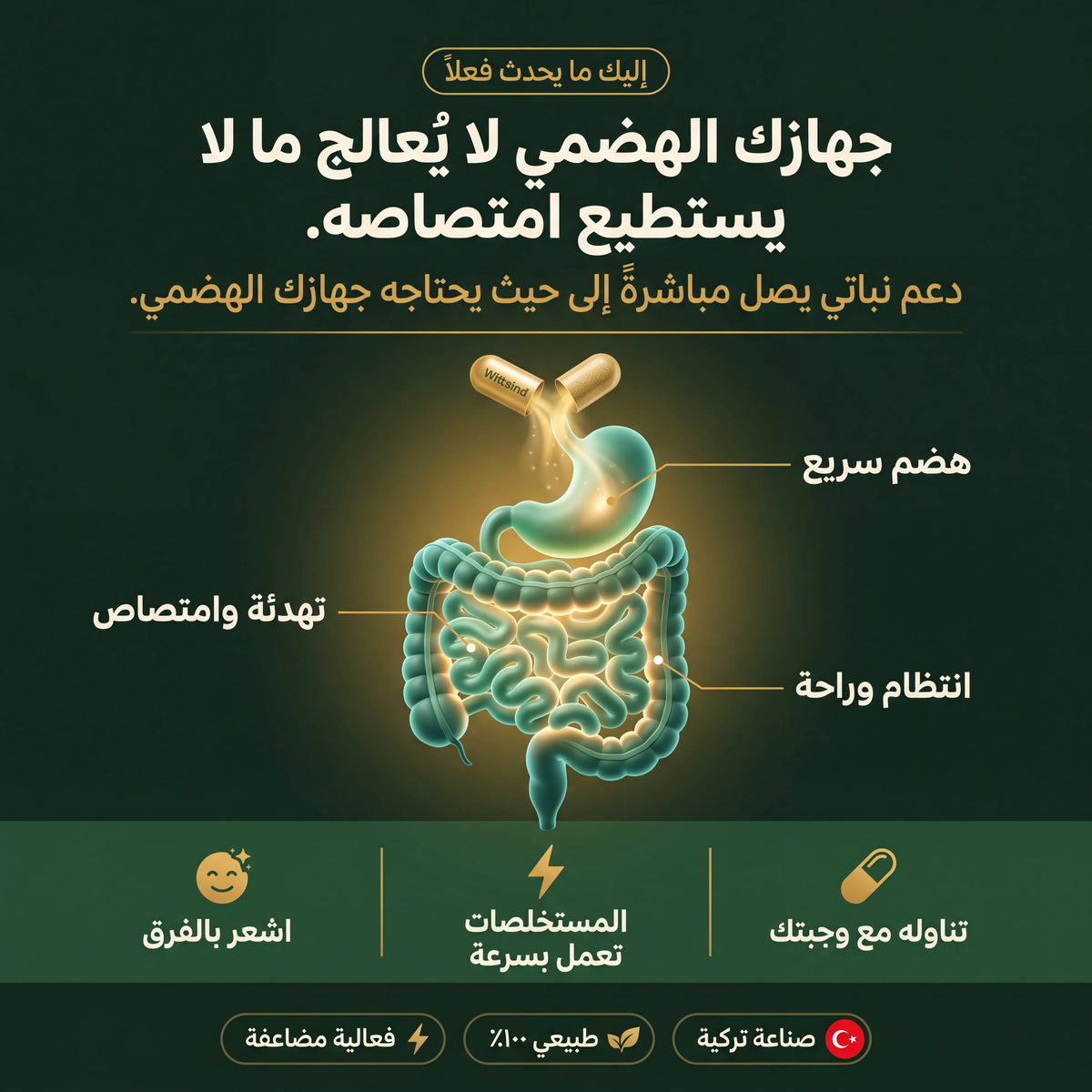 Wittsind – مكمل طبيعي للانتفاخ والامساك ومشاكل الهضم | 60 كبسولة
