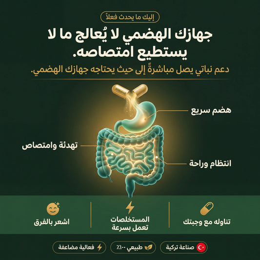 Wittsind – مكمل طبيعي للانتفاخ والامساك ومشاكل الهضم | 60 كبسولة